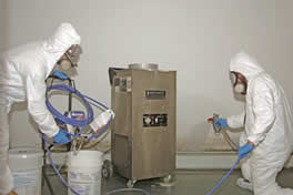 Php Echo County Attic Mold Removal State Ct Attic Mold Remediation Process